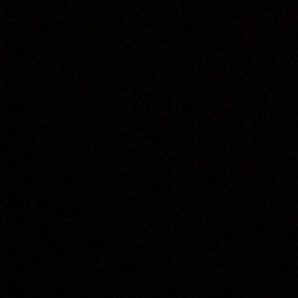 Meet your Posher, Morgan - Picture 1 of 1